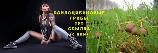тгк Переславль-Залесский
