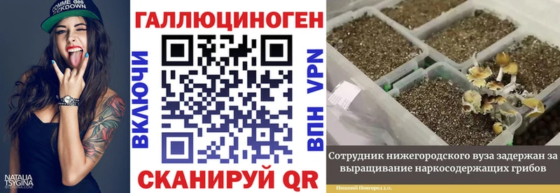 Псилоцибиновые грибы Magic Shrooms  Катайск 